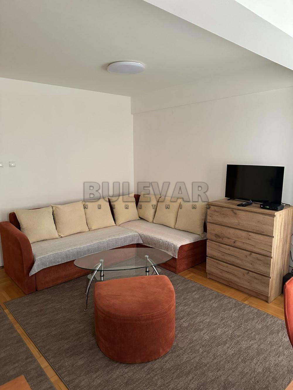 Glavna slika -Jovana Skerlića,  Stan za izdavanje, 30m2, 270€