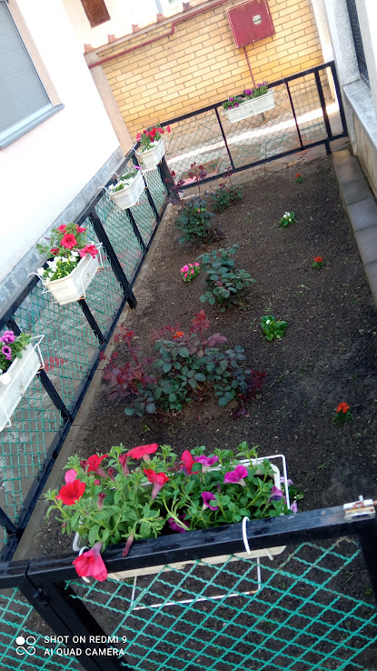 Slika 6 - jesenjinova 3,  Kuća na prodaju, 236m2, 265.000€