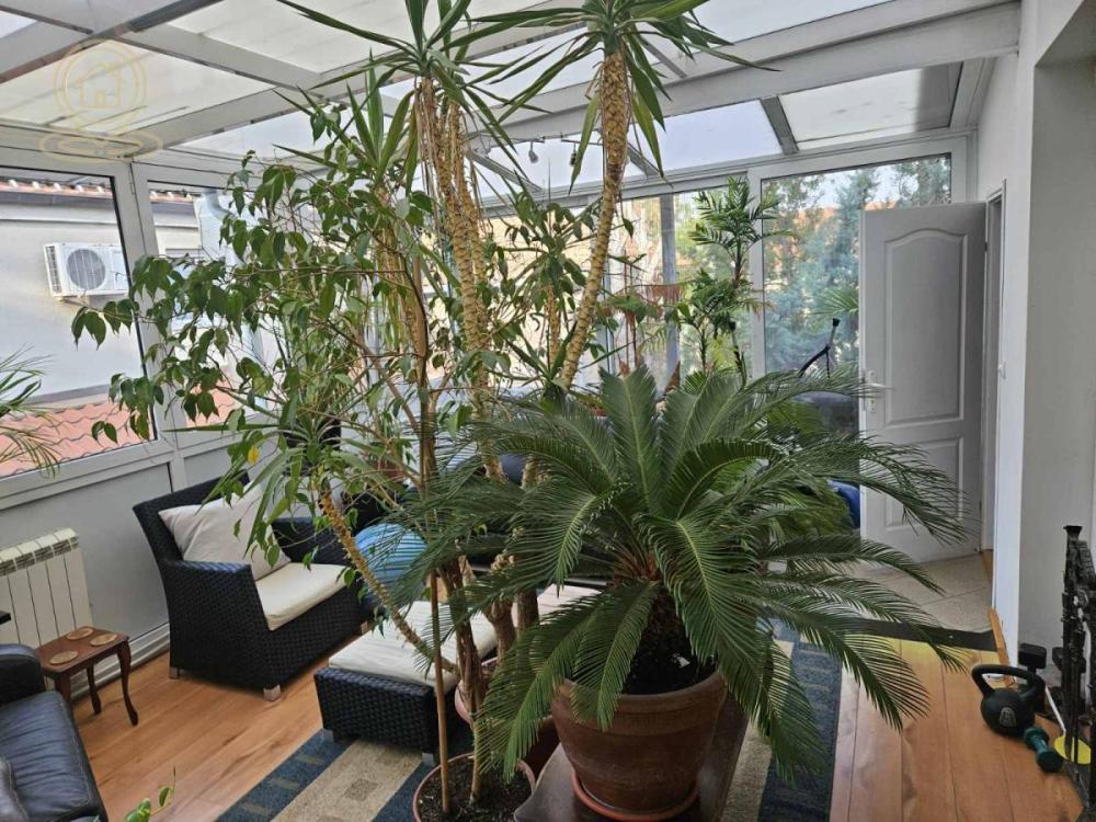 Slika 8 -  Lokal za izdavanje, 323m2, 3.200€