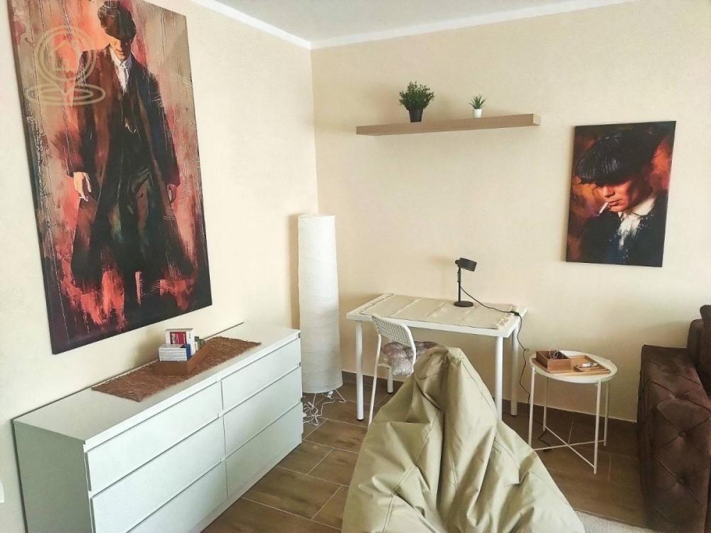 Glavna slika -Jednoiposoban stan za izdavanje, 35m2, 600€