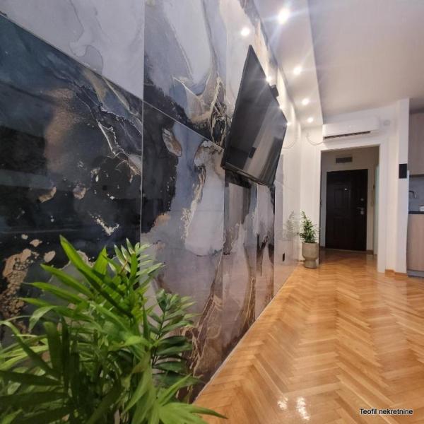 Slika 2 - Hadži Ruvimova, Jednosoban stan za izdavanje, 22m2, 470€