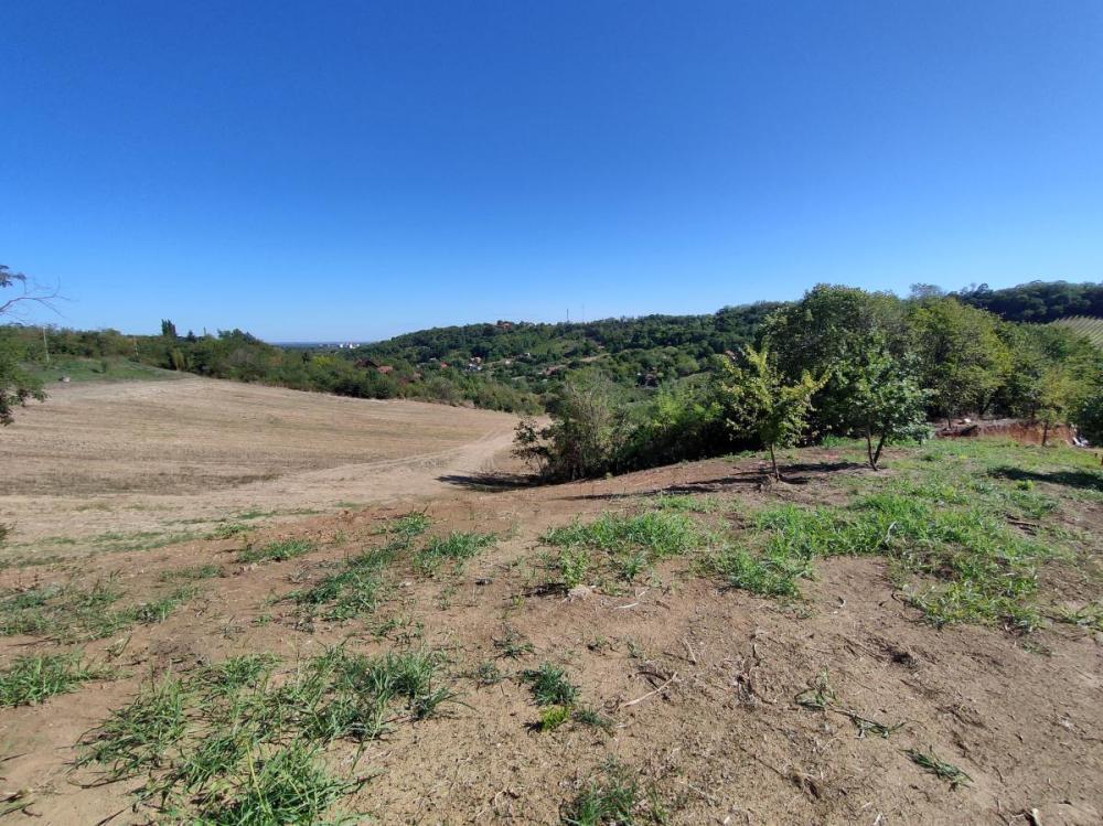 Slika 1 -  Plac na prodaju, Sremska Kamenica, , 65.000€