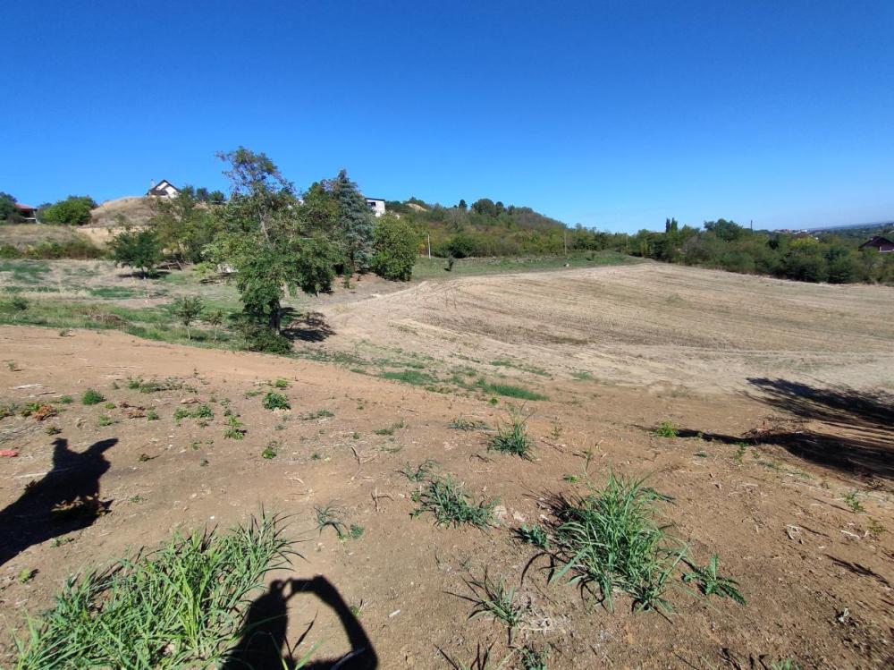 Slika 11 -  Plac na prodaju, Sremska Kamenica, , 65.000€