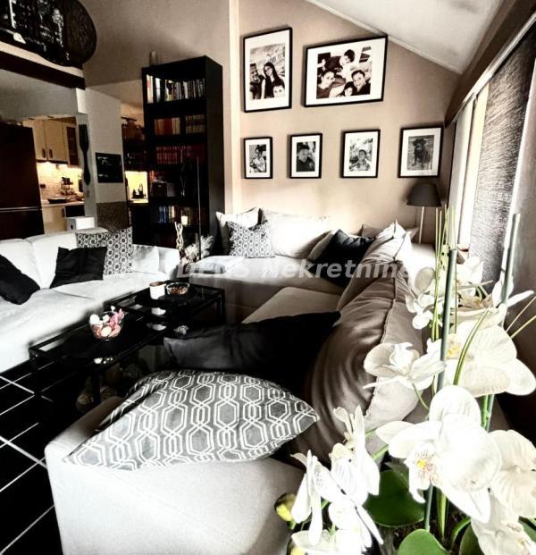 Glavna slika -Olivere Marković, Četvorosoban stan za izdavanje, 123m2, 1.200€