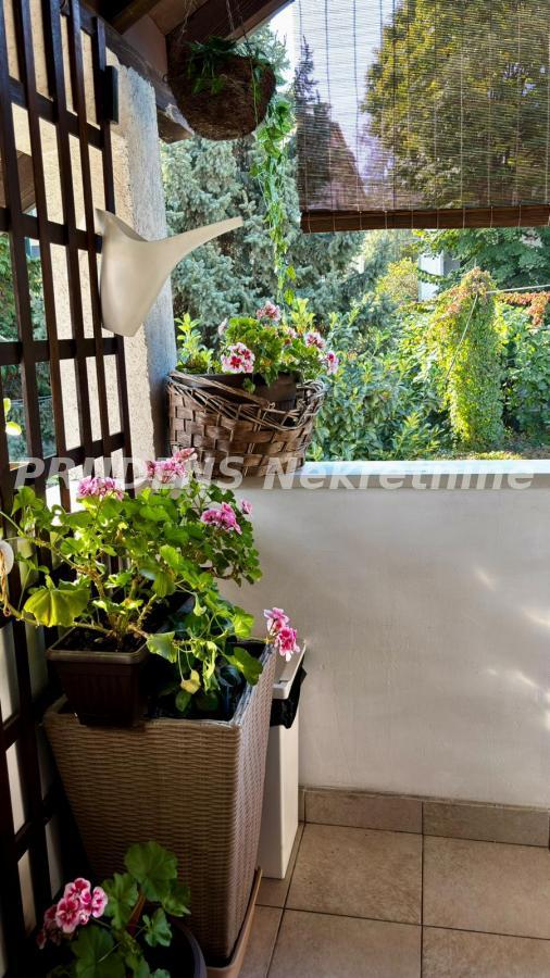 Slika 10 - Olivere Marković, Četvorosoban stan za izdavanje, 123m2, 1.200€