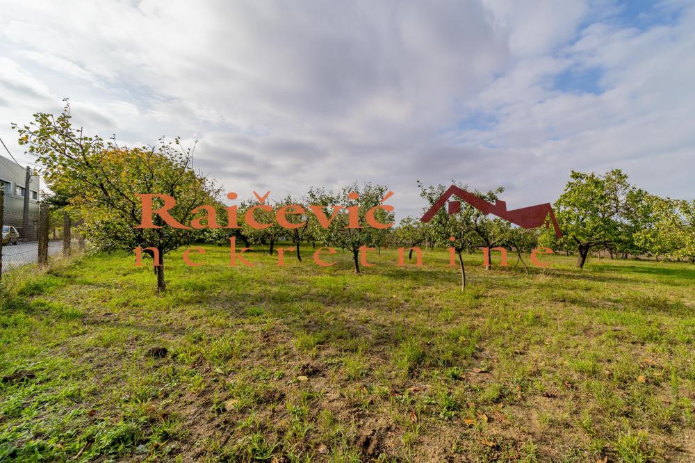 Slika 5 - Patrijarha Pavla,  Kuća na prodaju, 72m2, 425.000€