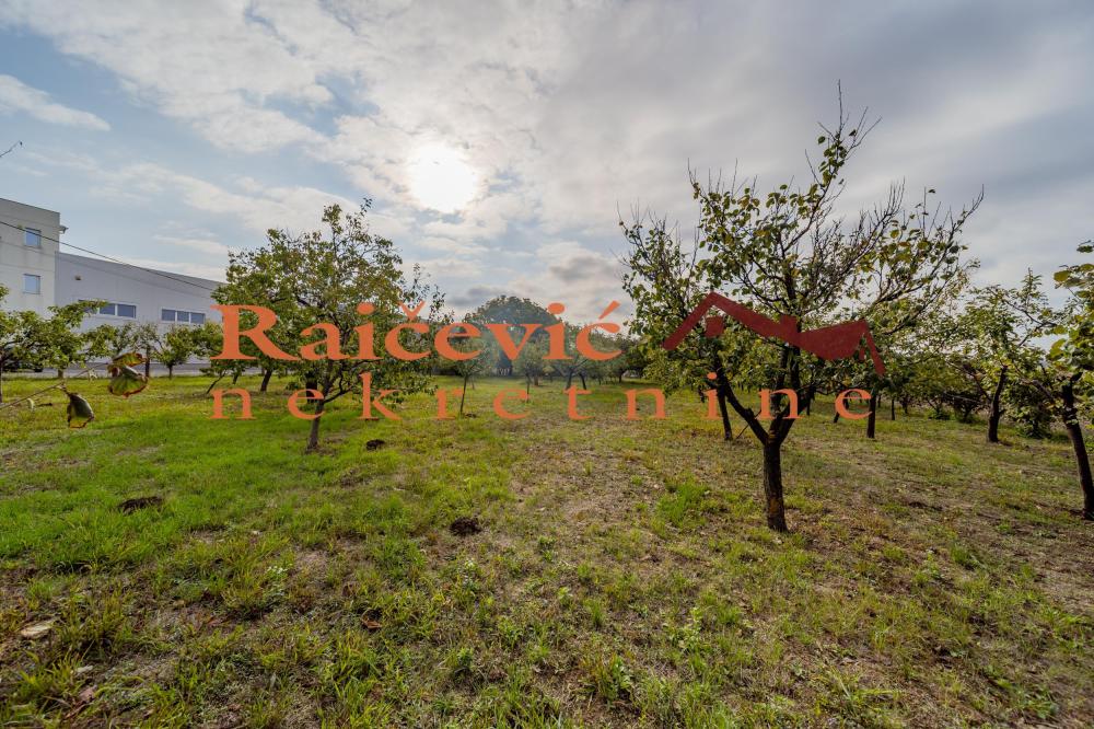 Slika 6 - Patrijarha Pavla,  Kuća na prodaju, 72m2, 425.000€