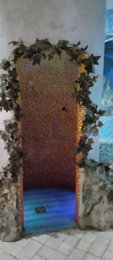 Slika 9 - Todora Dukina,  Lokal za izdavanje, 230m2, 2.300€