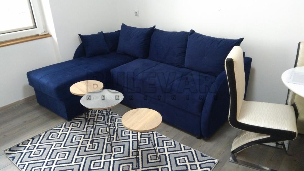 Slika 9 - Obrenovićeva, Jednosoban stan za izdavanje, 41m2, 350€