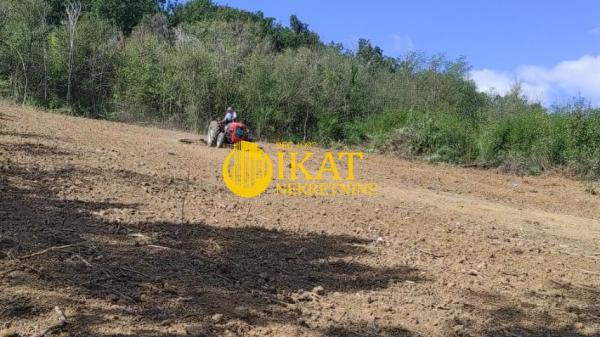 Slika 3 -  Plac na prodaju, Mladenovac, Koraćica, 11.000€