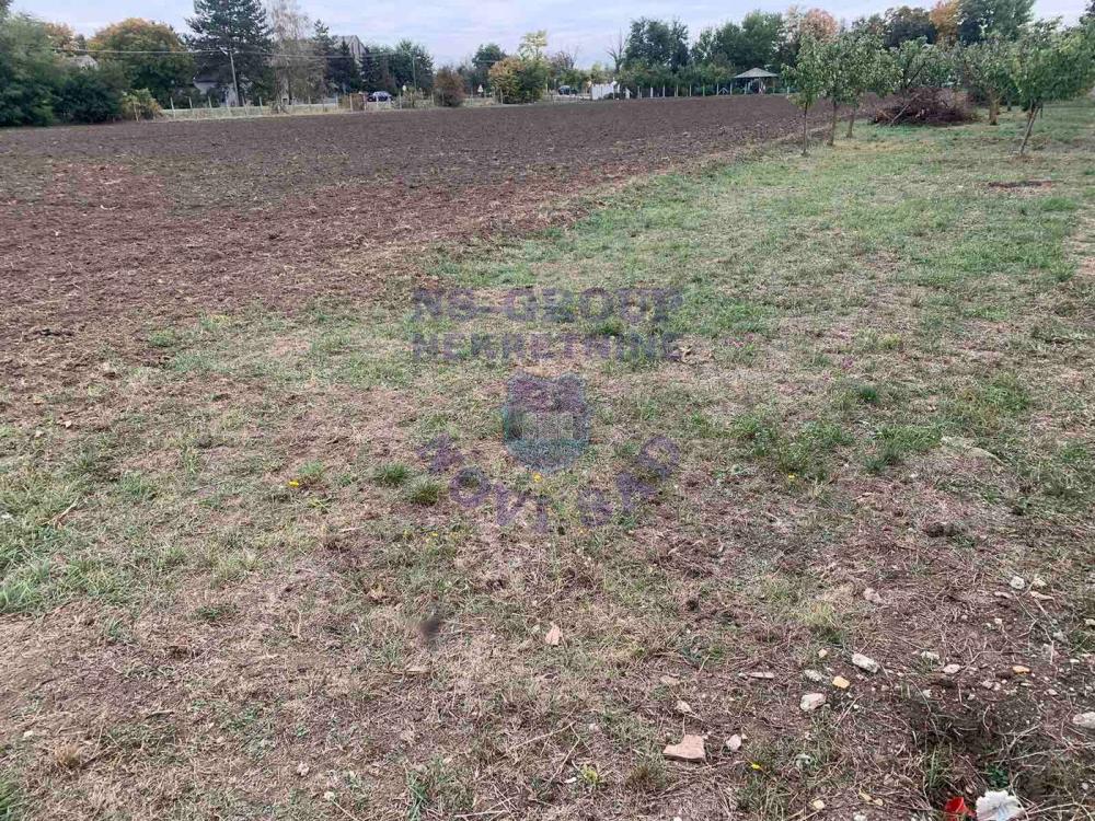 Slika 1 -  Plac na prodaju, Čenej, 448.670€