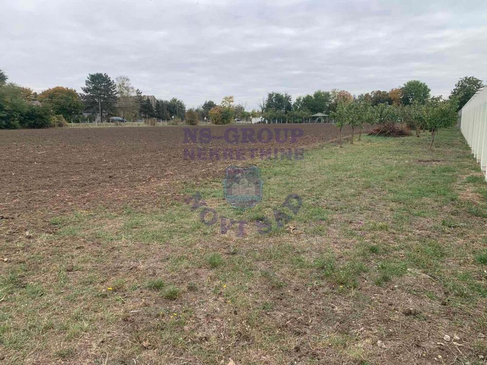 Glavna slika - Plac na prodaju, Čenej, 448.670€