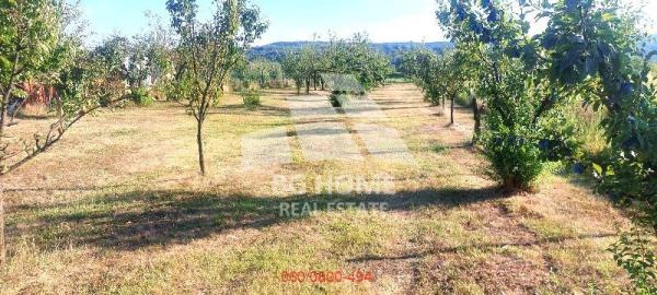 Slika 2 -  Plac na prodaju, Voždovac, Pinosava, 103.000€