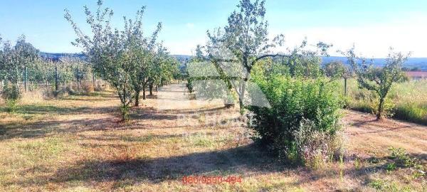 Slika 5 -  Plac na prodaju, Voždovac, Pinosava, 103.000€