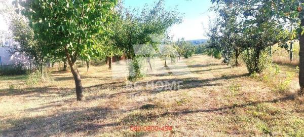 Slika 6 -  Plac na prodaju, Voždovac, Pinosava, 103.000€