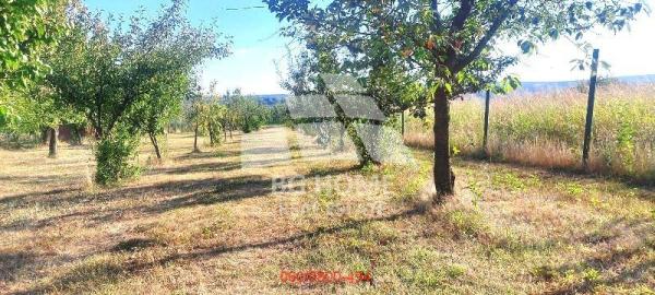 Slika 8 -  Plac na prodaju, Voždovac, Pinosava, 103.000€