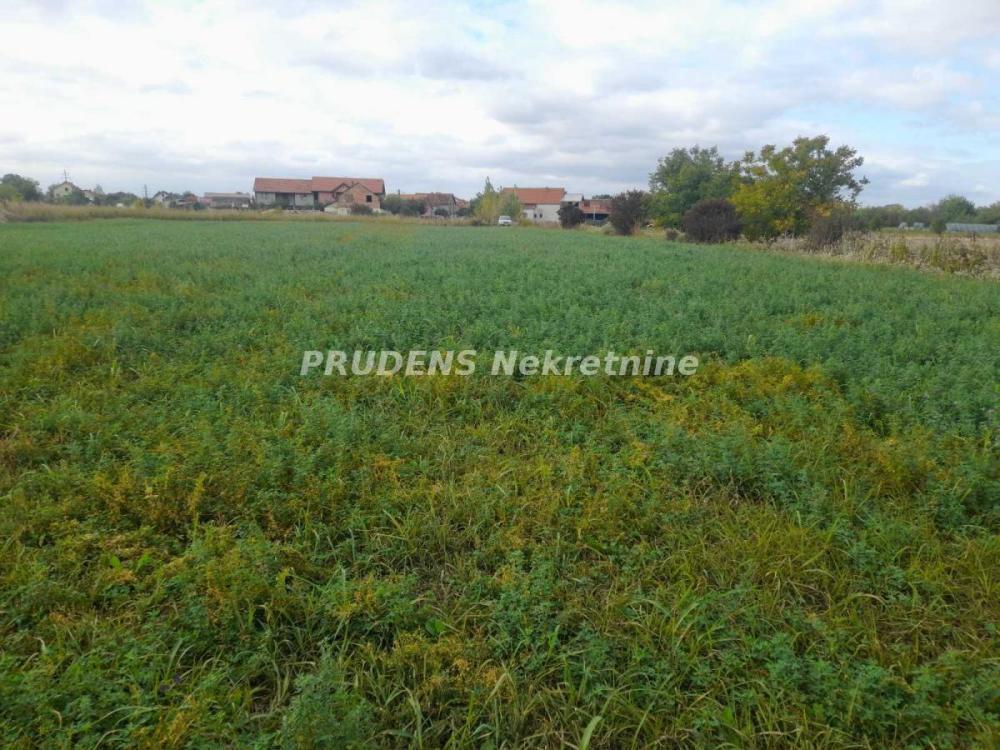 Glavna slika - Plac na prodaju, Surčin, Dobanovci, 581.000€