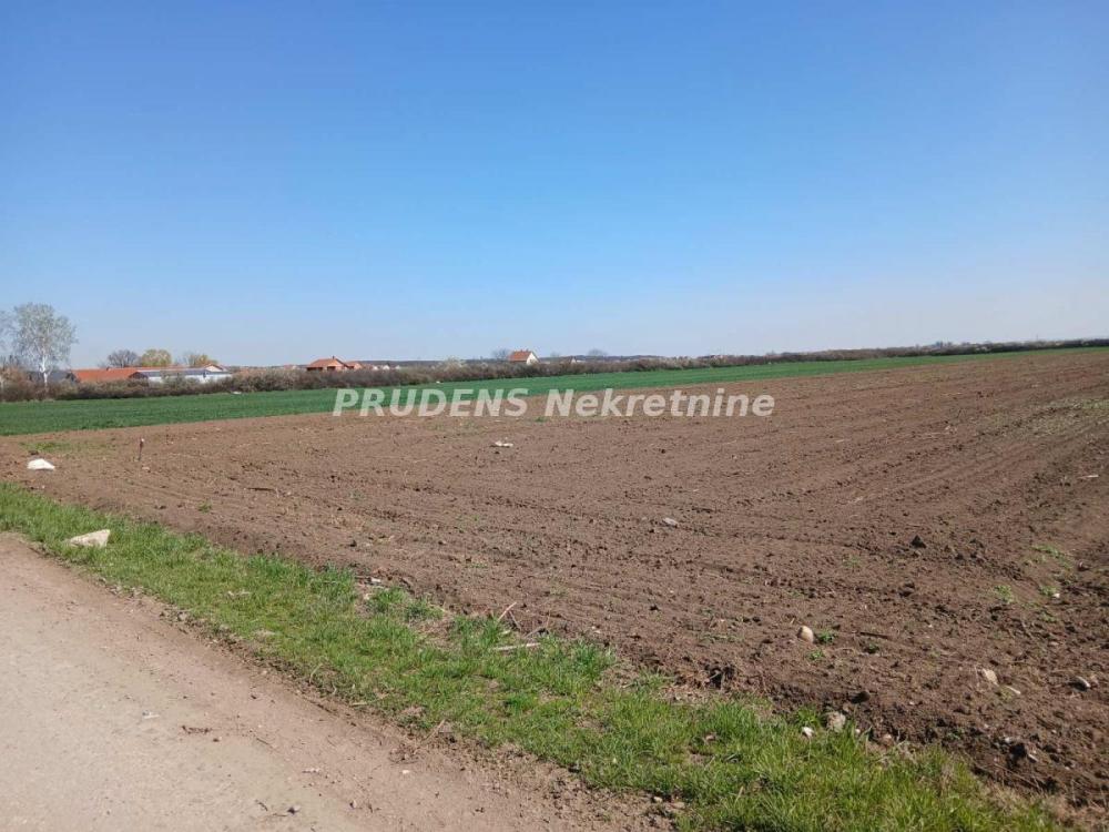 Slika 2 -  Plac na prodaju, Surčin, Petrovčić, 160.000€