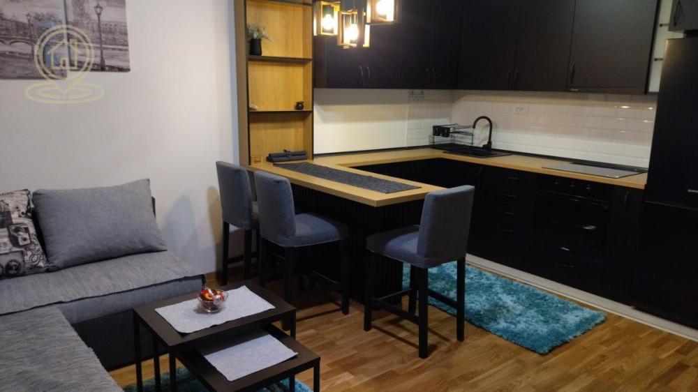 Glavna slika -Jednoiposoban stan za izdavanje, 42m2, 450€