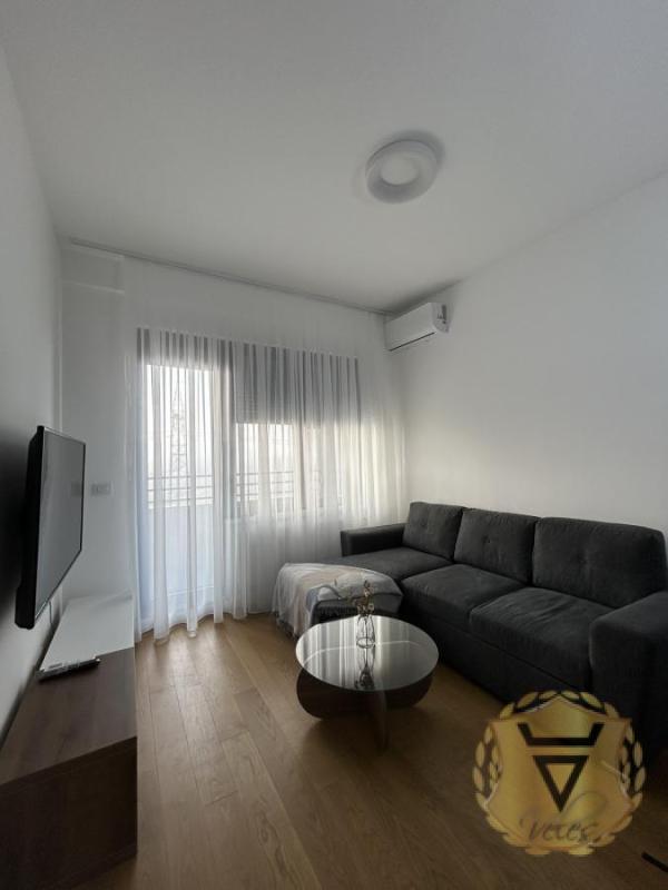 Slika 3 - Dvosoban stan za izdavanje, 45m2, 1.000€