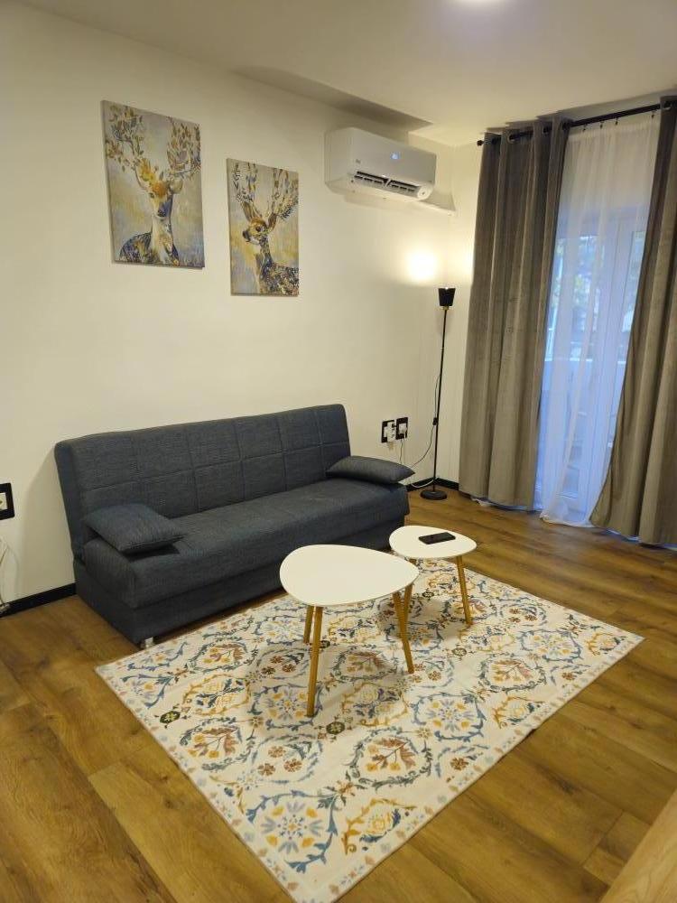 Slika 0 - Bulevar dr Zorana Đinđića , Dvosoban stan za izdavanje, 42m2, 400€