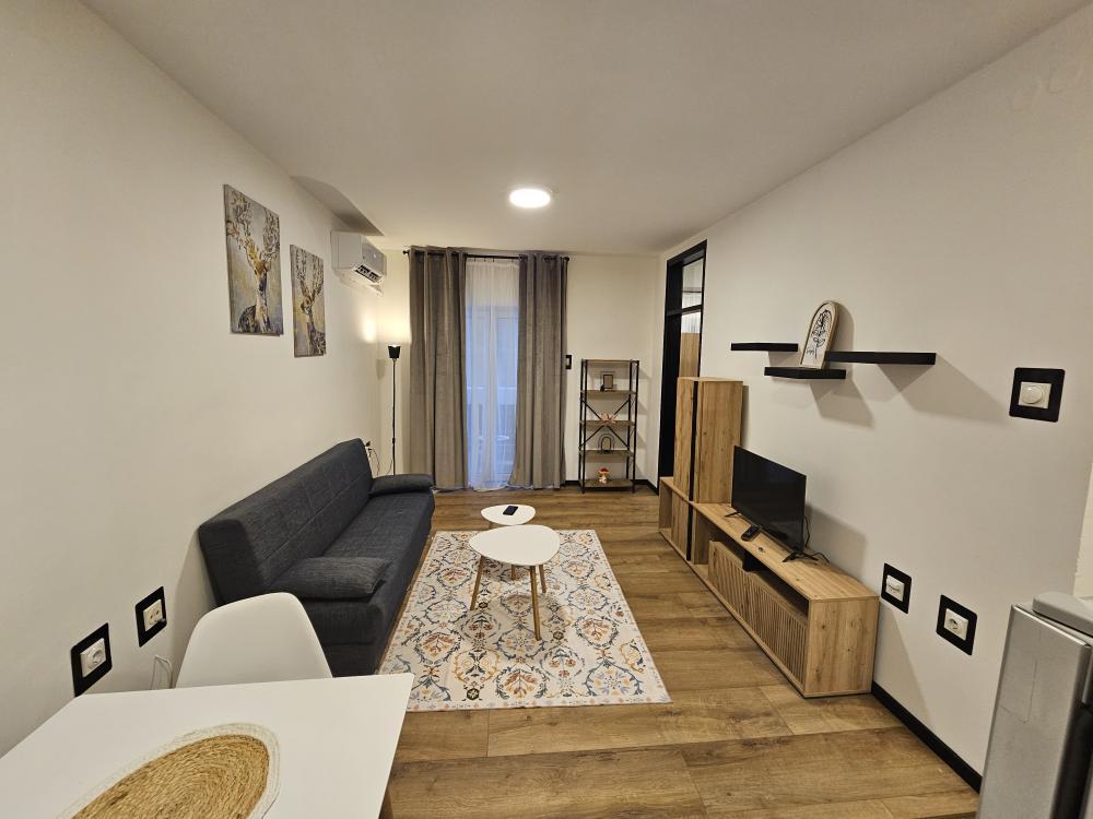 Glavna slika -Bulevar dr Zorana Đinđića , Dvosoban stan za izdavanje, 42m2, 400€