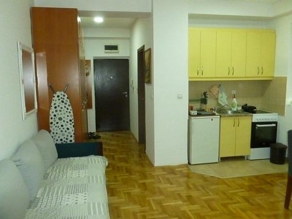 Glavna slika -Vojvode Stepe, Jednosoban stan na prodaju, 30m2, 110.000€