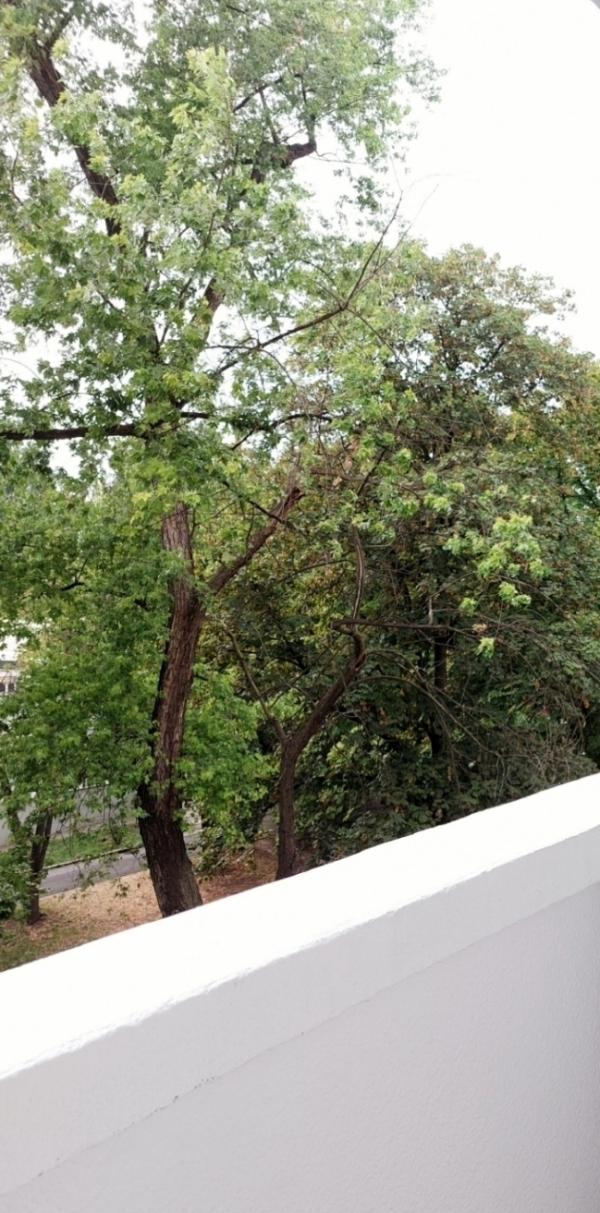 Slika 1 - Otona Župancica, Jednosoban stan za izdavanje, 30m2, 400€