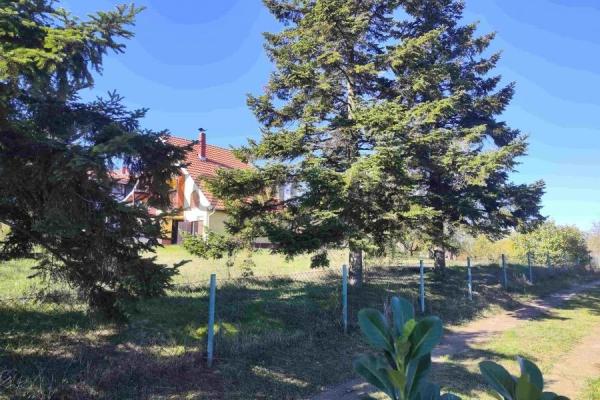 Slika 10 - Natalije Cvetković ,  Kuća na prodaju, 220m2, 170.000€