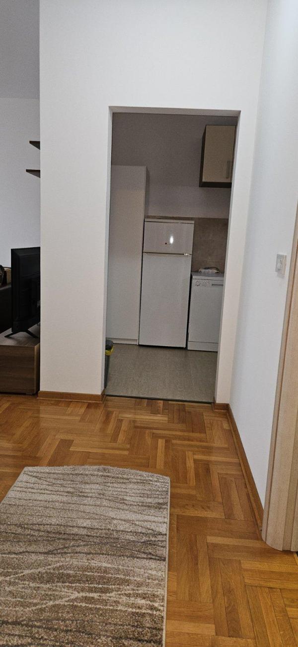 Slika 11 - Vojvode Stepe, Dvosoban stan za izdavanje, 56m2, 550€