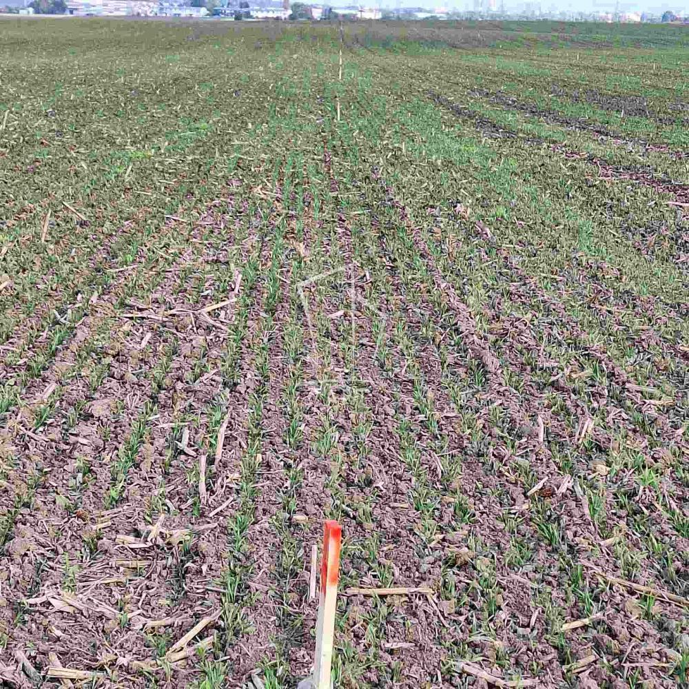 Glavna slika -Autoput za Zagreb Plac na prodaju, Novi Beograd, Bežanijska Kosa 3, 1.600.000€