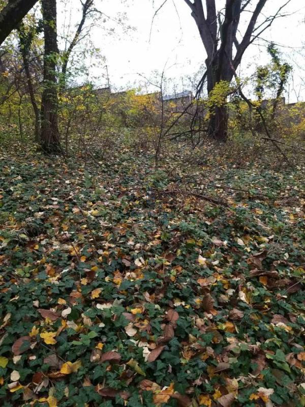 Slika 1 -  Plac na prodaju, Ledinci, , 95.000€