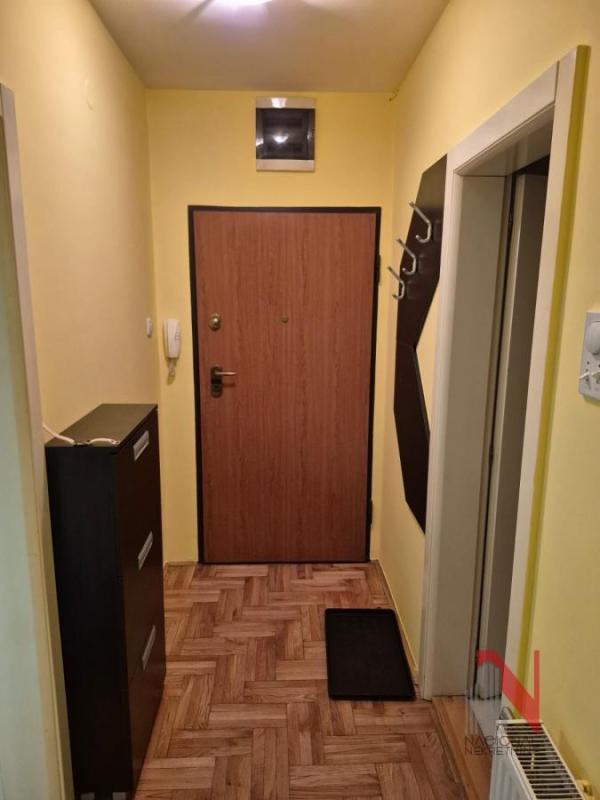 Slika 2 - DANILA KISA, Jednoiposoban stan za izdavanje, 38m2, 400€