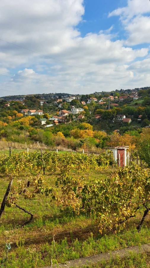 Glavna slika - Plac na prodaju, Sremska Kamenica, , 165.000€