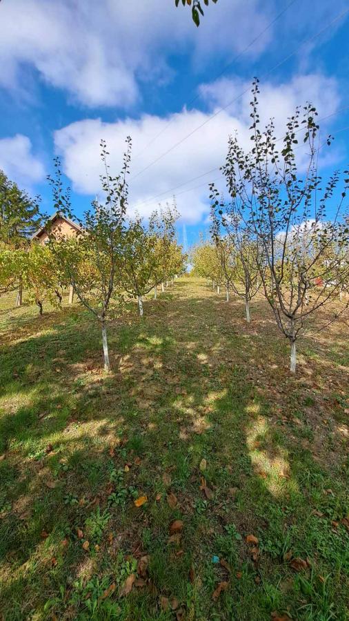 Slika 3 -  Plac na prodaju, Sremska Kamenica, , 165.000€