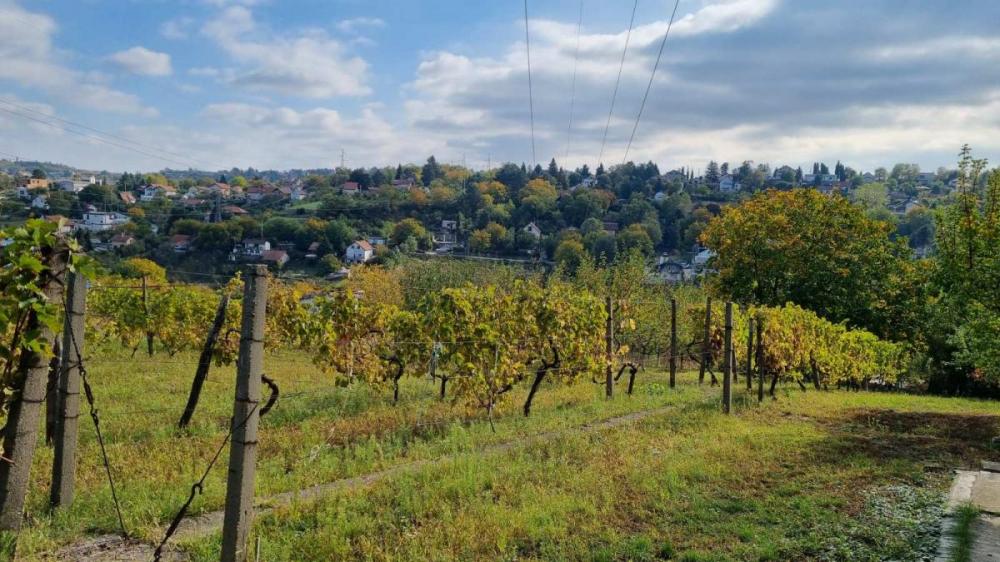 Slika 1 -  Plac na prodaju, Sremska Kamenica, , 165.000€