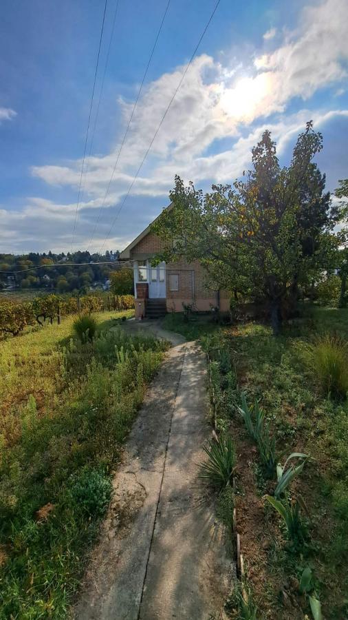 Slika 10 -  Plac na prodaju, Sremska Kamenica, , 165.000€