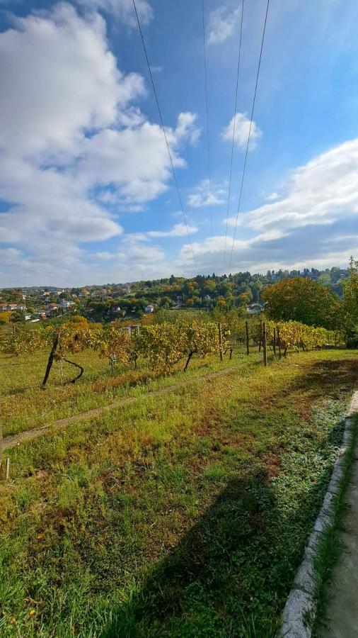 Slika 9 -  Plac na prodaju, Sremska Kamenica, , 165.000€