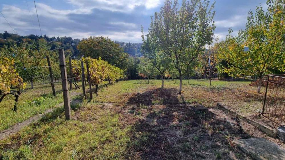 Slika 11 -  Plac na prodaju, Sremska Kamenica, , 165.000€