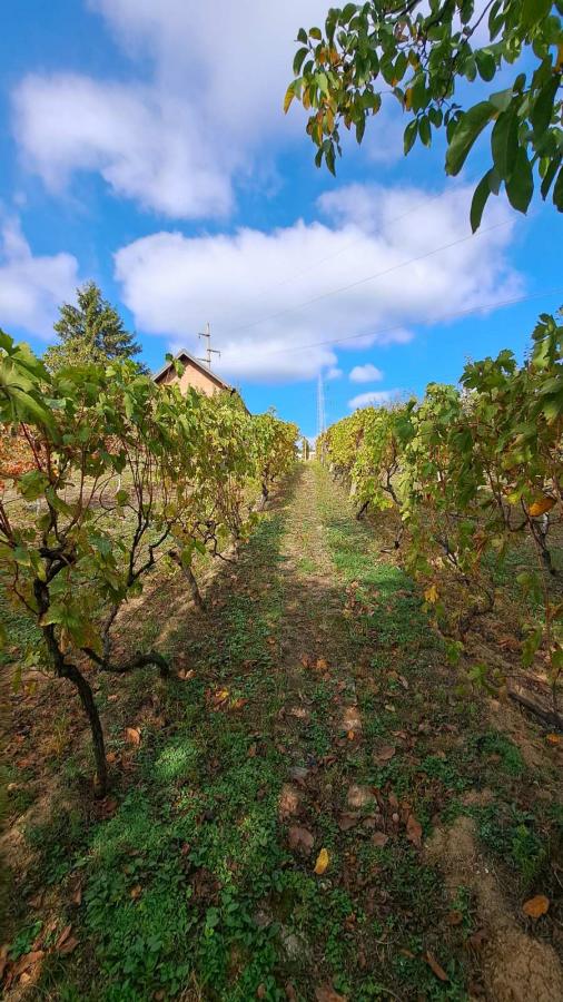 Slika 5 -  Plac na prodaju, Sremska Kamenica, , 165.000€