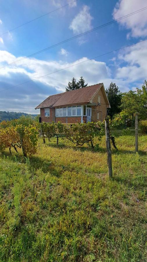 Slika 6 -  Plac na prodaju, Sremska Kamenica, , 165.000€