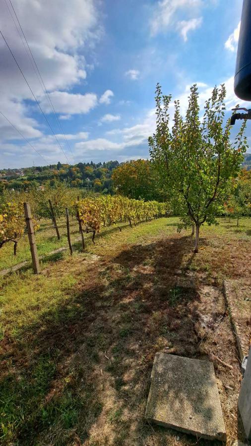 Slika 7 -  Plac na prodaju, Sremska Kamenica, , 165.000€