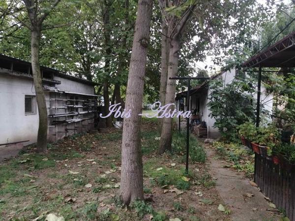 Slika 7 - 27. marta (Borča),  Kuća na prodaju, 77m2, 165.000€