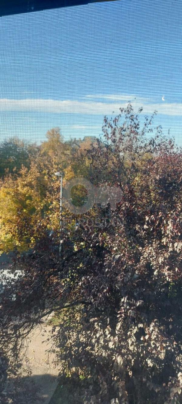 Slika 4 - Ilije Stojadinovića, Jednosoban stan na prodaju, 41m2, 129.000€