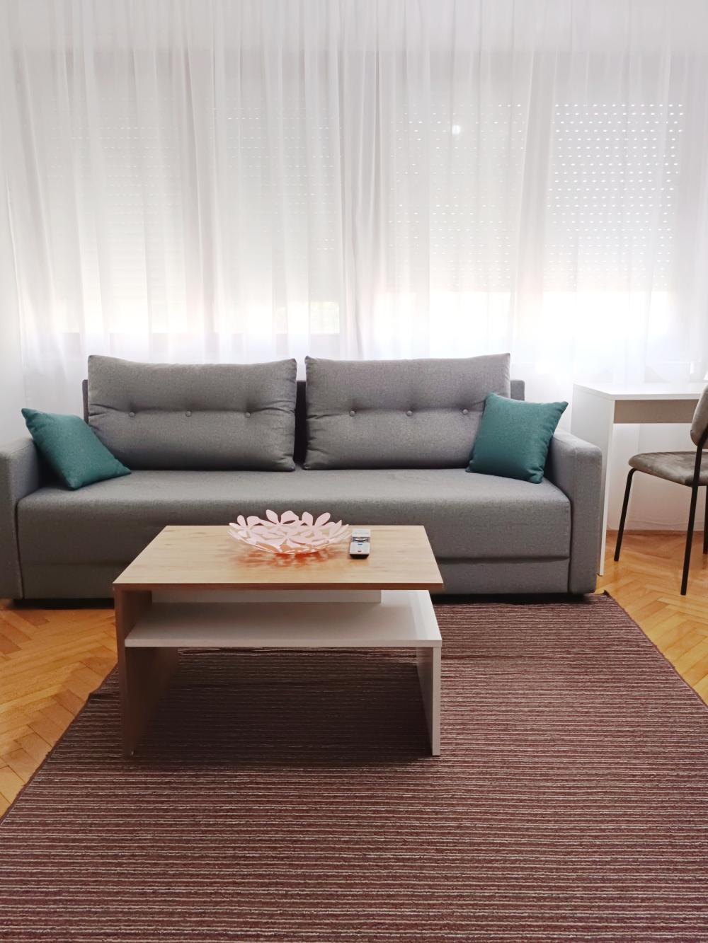 Glavna slika -Dr Milutina Ivkovića, Jednoiposoban stan za izdavanje, 36m2, 300€