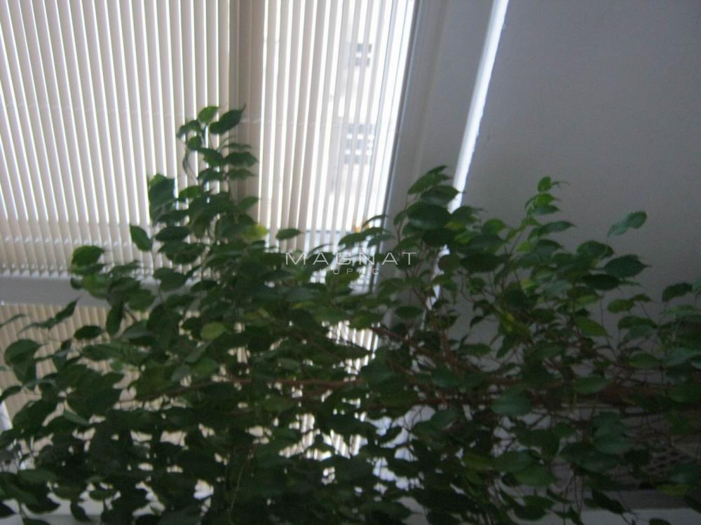 Glavna slika -Vidska, Jednoiposoban stan na prodaju, 44m2, 169.000€