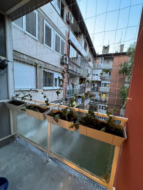 Slika 8 - Salvadora Aljendea, Dvosoban stan za izdavanje, 66m2, 500€