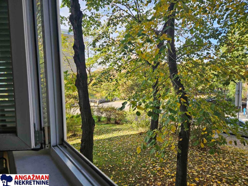 Slika 8 - Španskih boraca, Jednoiposoban stan za izdavanje, 56m2, 600€