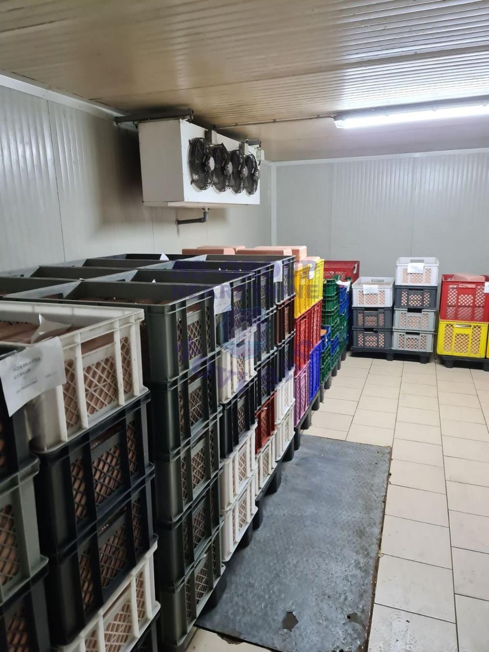 Slika 10 -  Kuća na prodaju, 687m2, 1.545.000€