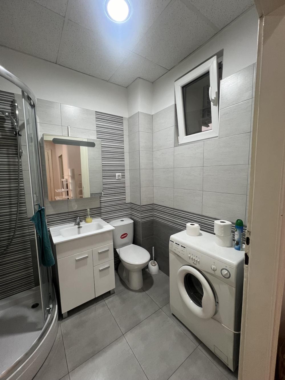 Slika 7 - Bulevar Despota Stefana, Dvoiposoban stan za izdavanje, 75m2, 800€